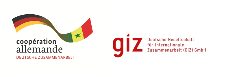 giz ped logo